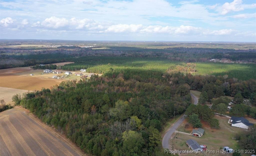 0 Hendrix Road Raeford, NC 28376 - Photo 3 of 7 Gallery Image 3