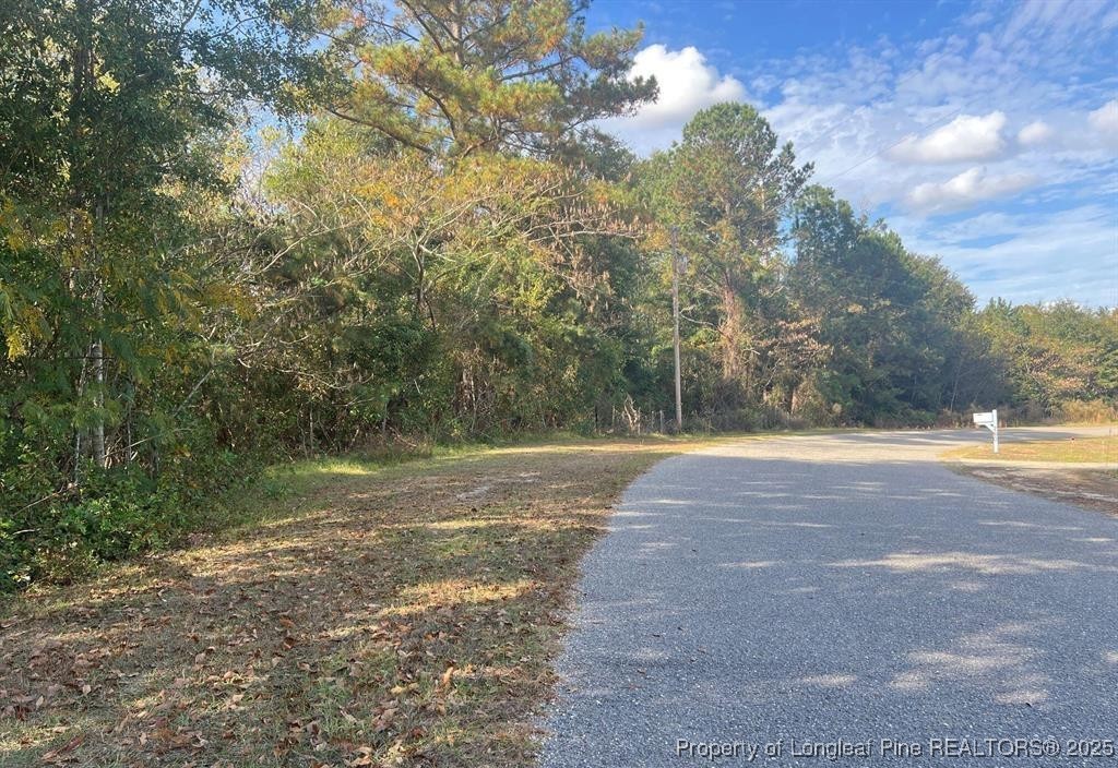 0 Hendrix Road Raeford, NC 28376 - Photo 5 of 7 Gallery Image 5