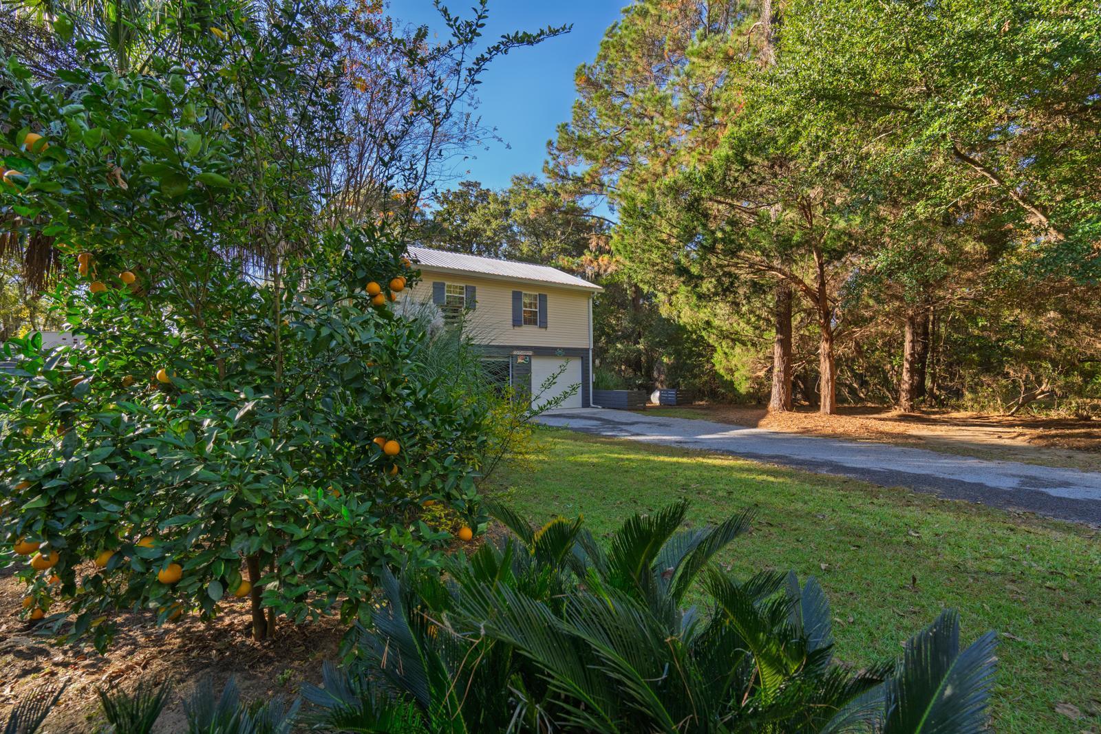 8525 Middleton Point Lane Edisto Island, SC 29438 - Photo 64 of 66 untitled-73
