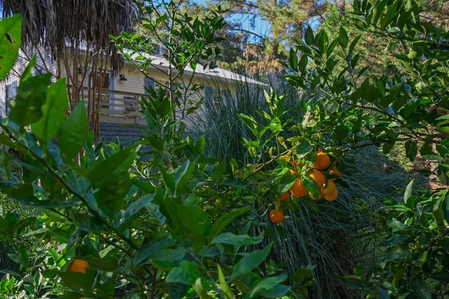 $725,000 | 8525 Middleton Point Lane, Edisto Island, SC 29438