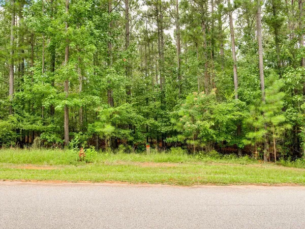 $39,000 | Lot 58 Lighthouse Pointe Pointe, Unit POINTE, Lincolnton, GA 30817