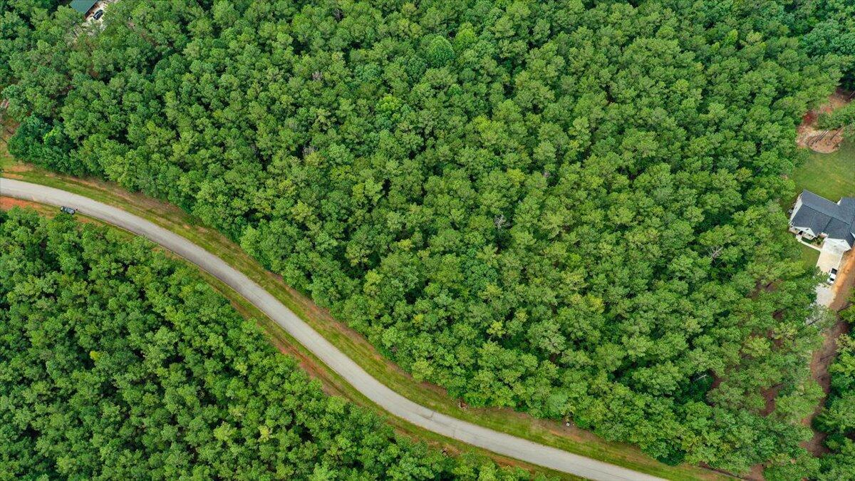 Lot 58 Lighthouse Pointe Lincolnton, GA 30817 - Photo 11 of 31 14-Lighthouse Pointe Drone Shots (13 of