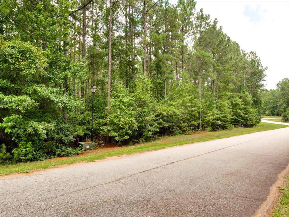 Lot 58 Lighthouse Pointe Lincolnton, GA 30817 - Photo 2 of 31 26-Lighthouse Pointe (4 of 10)