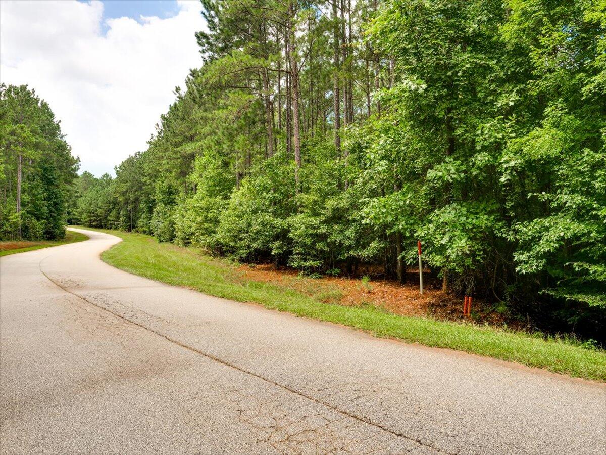 Lot 58 Lighthouse Pointe Lincolnton, GA 30817 - Photo 3 of 31 28-Lighthouse Pointe (6 of 10)