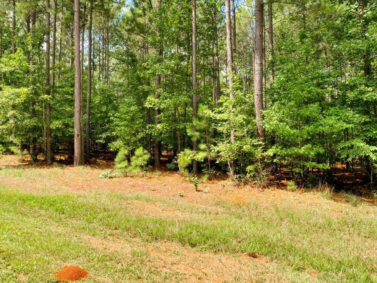 Lot 58 Lighthouse Pointe Lincolnton, GA 30817 - Photo 4 of 31 30-Lighthouse Pointe (8 of 10)