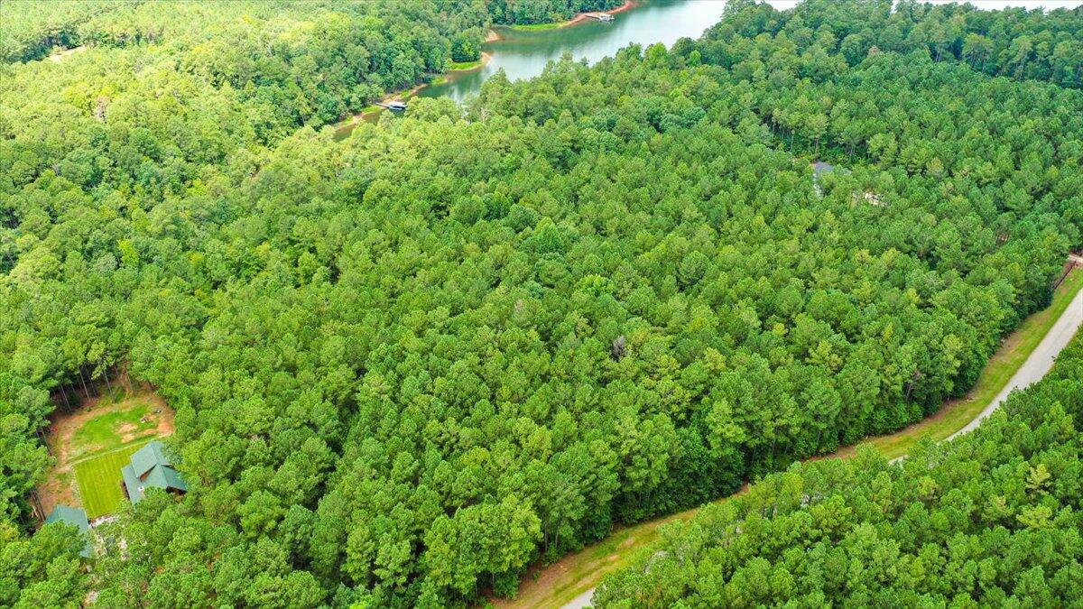 Lot 58 Lighthouse Pointe Lincolnton, GA 30817 - Photo 5 of 31 02-Lighthouse Pointe Drone Shots (1 of 2