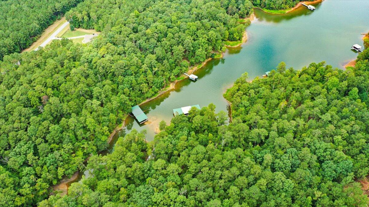 Lot 58 Lighthouse Pointe Lincolnton, GA 30817 - Photo 6 of 31 04-Lighthouse Pointe Drone Shots (3 of 2