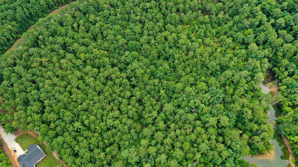 Lot 58 Lighthouse Pointe Lincolnton, GA 30817 - Photo 7 of 31 06-Lighthouse Pointe Drone Shots (5 of 2