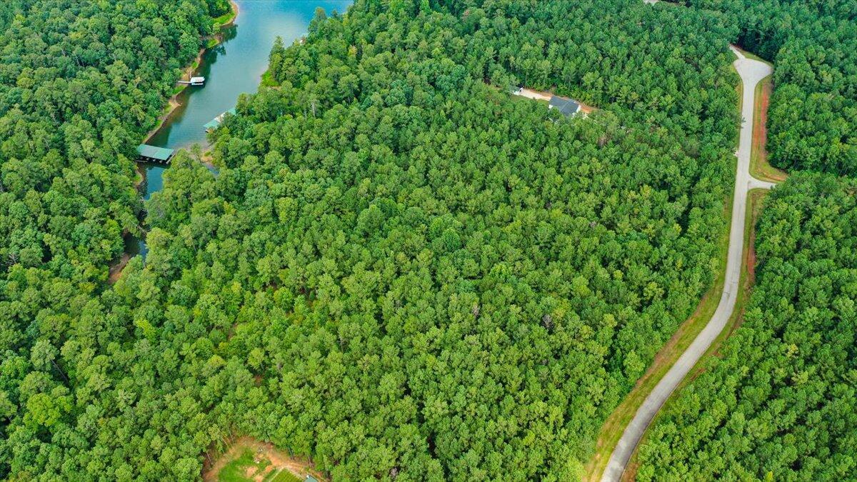 Lot 58 Lighthouse Pointe Lincolnton, GA 30817 - Photo 8 of 31 10-Lighthouse Pointe Drone Shots (9 of 2