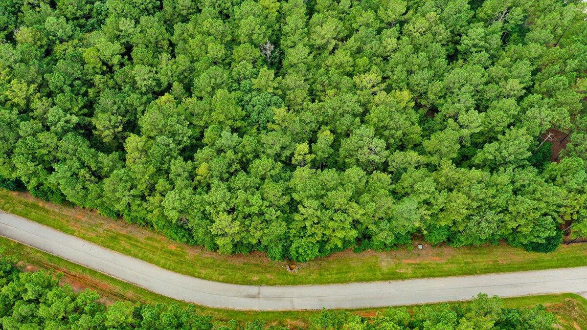 Lot 58 Lighthouse Pointe Lincolnton, GA 30817 - Photo 10 of 31 13-Lighthouse Pointe Drone Shots (12 of