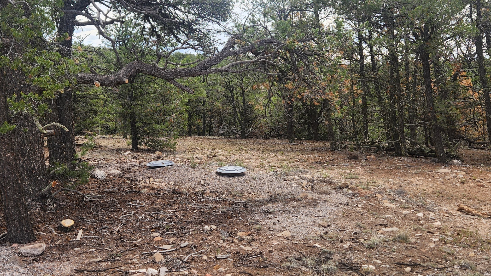 56 El Caso Road, Unit B3S Quemado, NM 87829 - Photo 6 of 26 Gallery Image 6