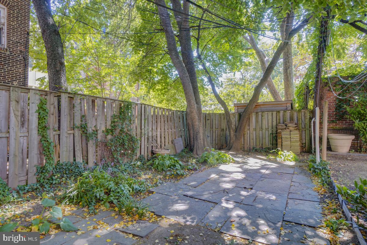 411 East Capitol Street Southeast Washington, DC 20003 - Photo 25 of 26 Rear Yard
