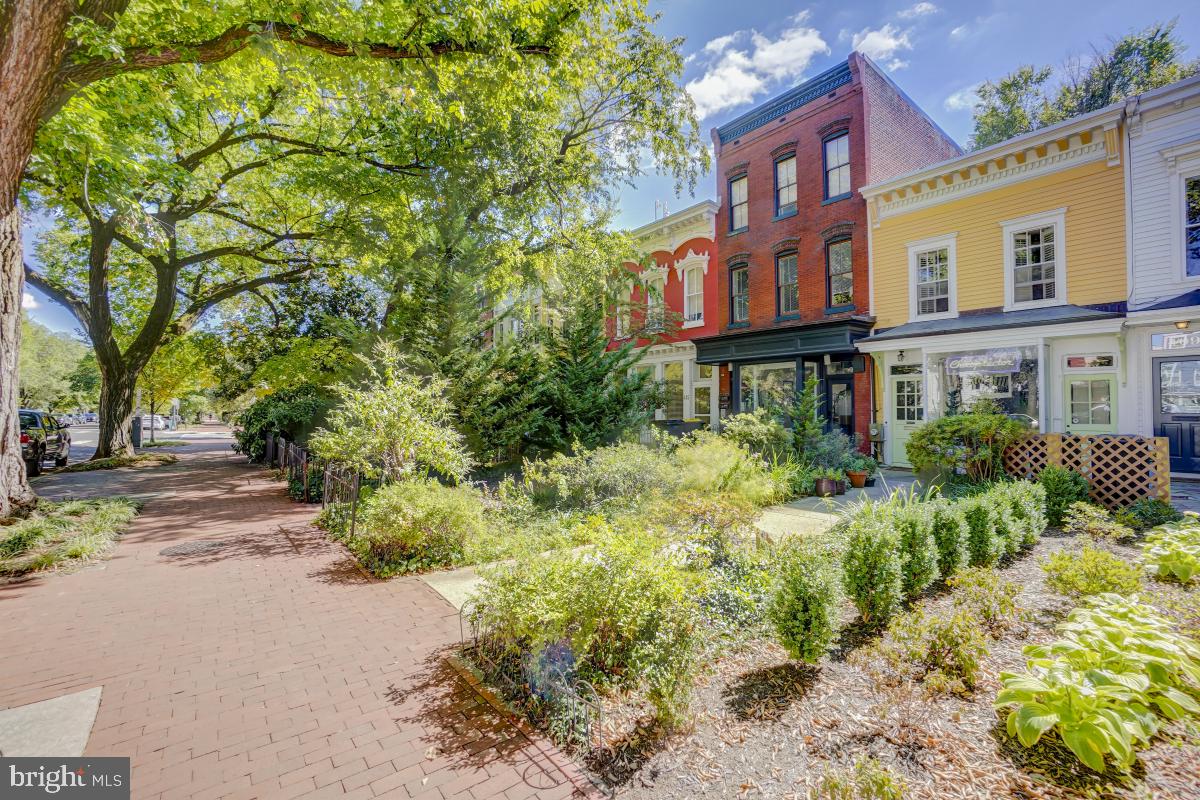 411 East Capitol Street Southeast Washington, DC 20003 - Photo 5 of 26 View From Sidewalk