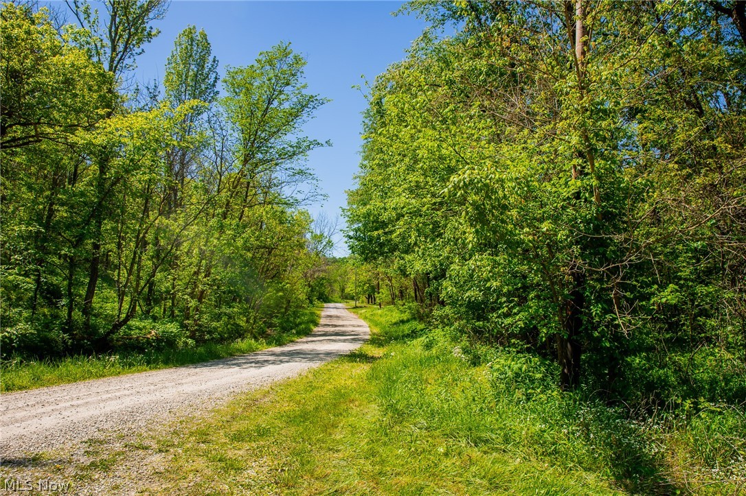 37500 Goose Run Road Dexter City, OH 45727 - Photo 28 of 50