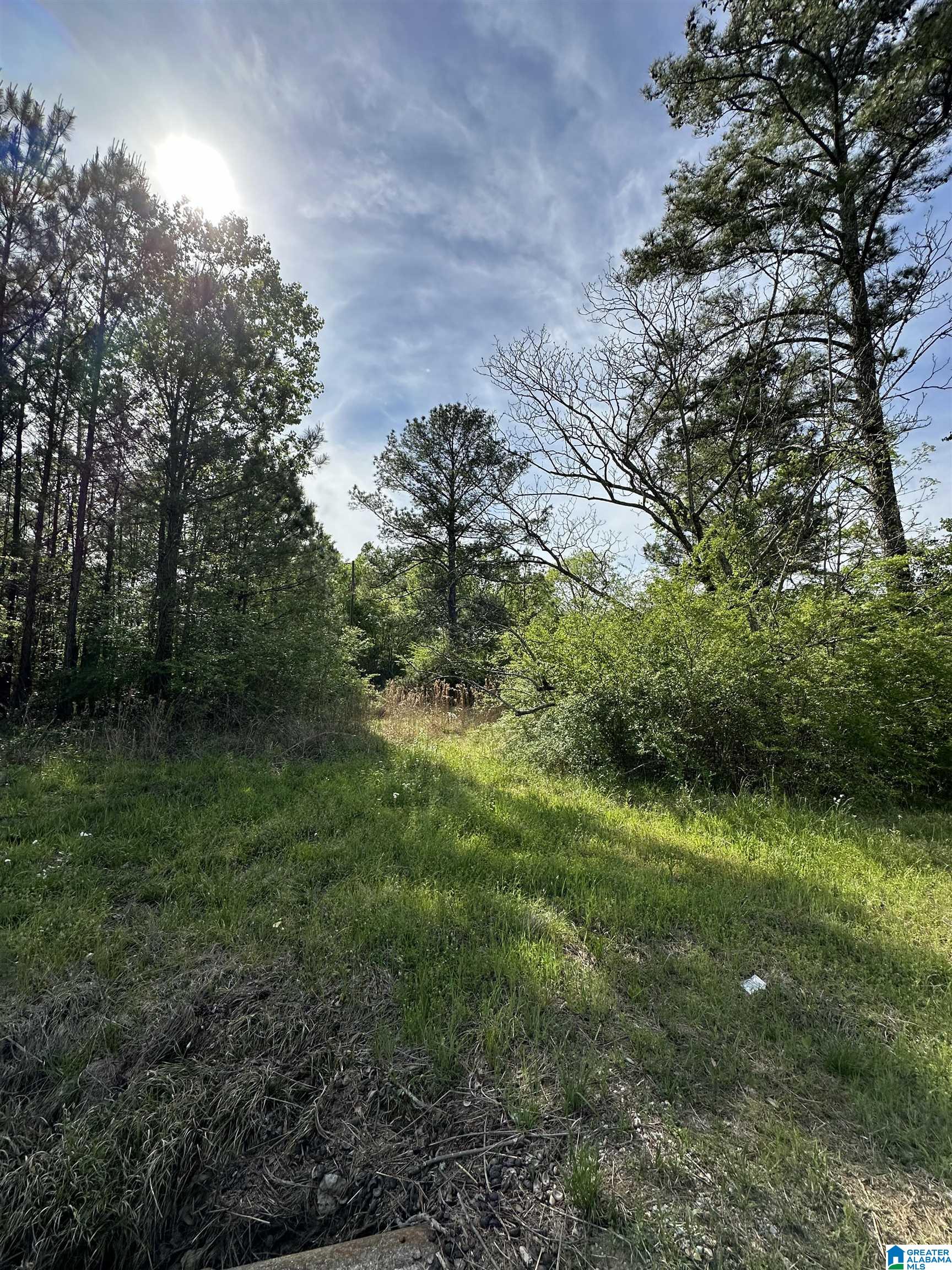 6405 Highway 85 Vincent, AL 35178 - Photo 2 of 3