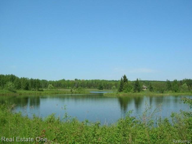 0 Teton Ridge Road Gaylord, MI 49735 - Photo 15 of 25 Gallery Image 15