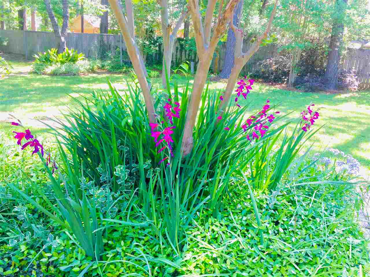 41 Redbud Lane Madison, MS 39110 - Photo 13 of 34 Photo 13