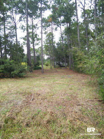 31853 Grafton Road Lillian, AL 36549 - Photo 1 of 1 Gallery Image 1