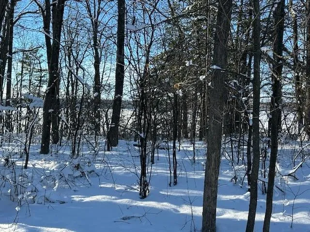 $475,000 | Lot 1 Division Avenue, Stone Lake, WI 54876