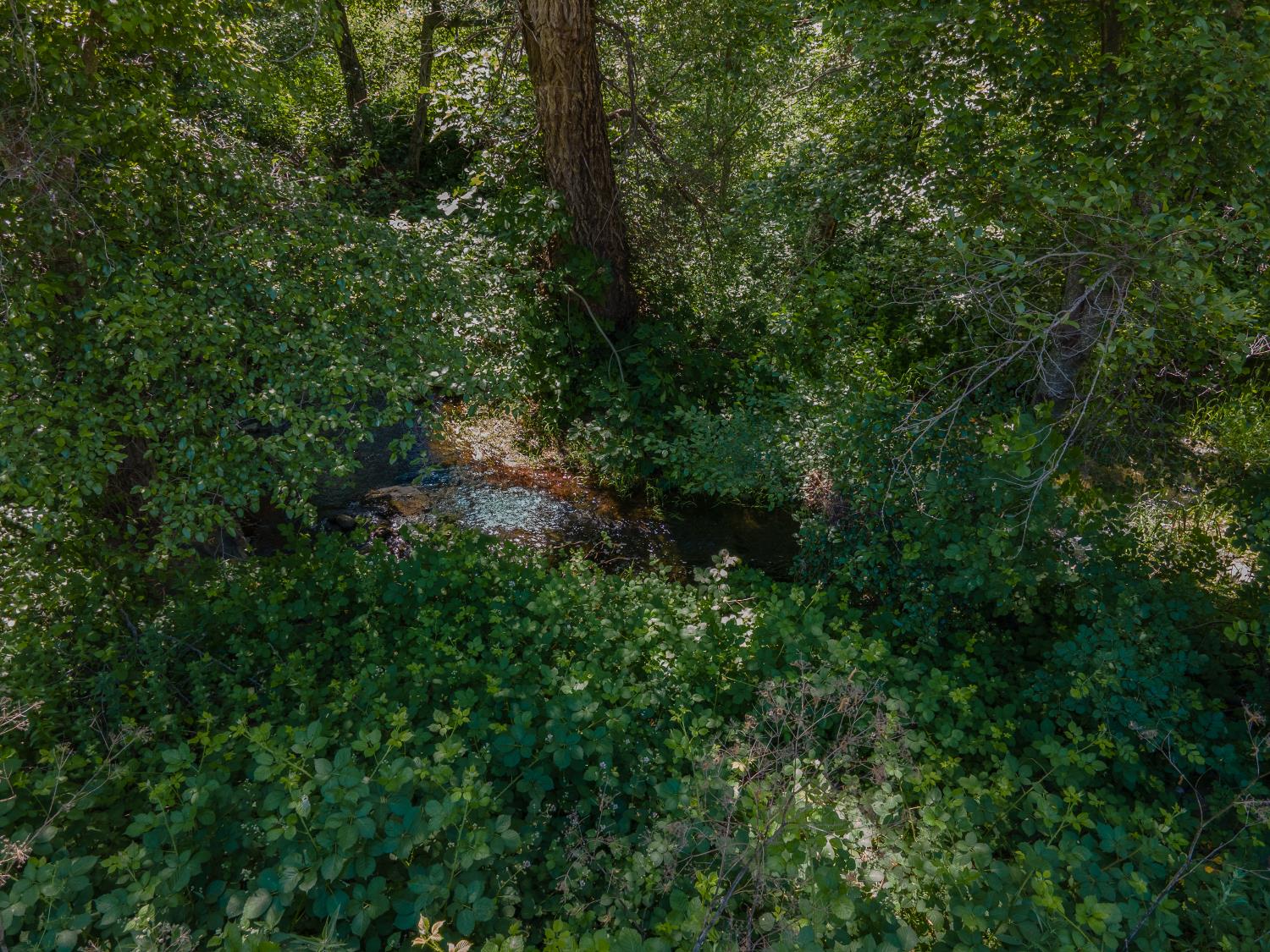 0 Stony Creek Road Ione, CA 95640 - Photo 13 of 70