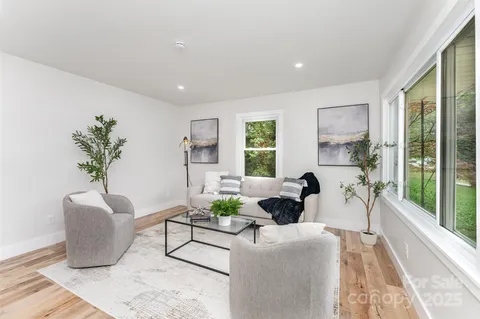 a living room with furniture and a potted plant