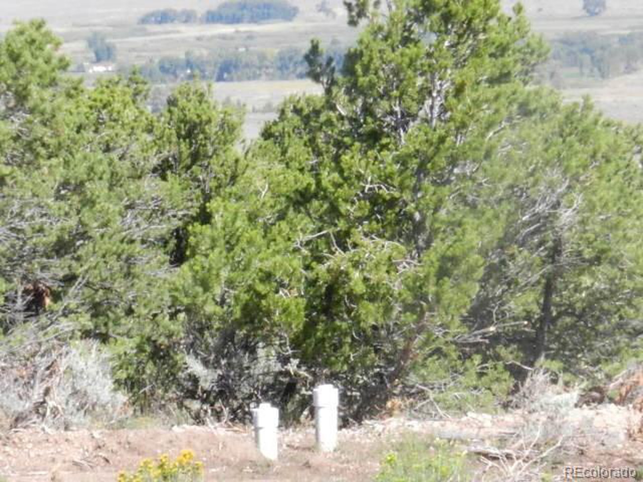 8 Mountain Ridge Lane San Luis, CO 81152 - Photo 12 of 28 a view of a yard with plants and large trees
