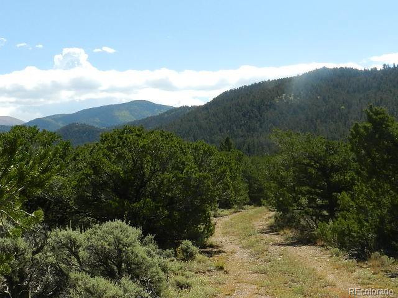 8 Mountain Ridge Lane San Luis, CO 81152 - Photo 24 of 28 a view of a yard with a tree