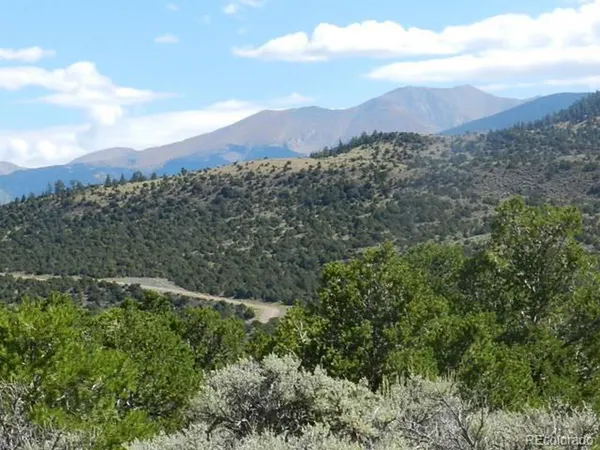 a view of a lush green hillside and a mountain