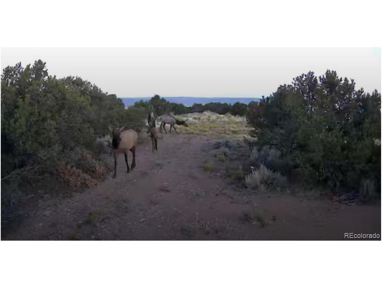 8 Mountain Ridge Lane San Luis, CO 81152 - Photo 7 of 28 a view of a yard
