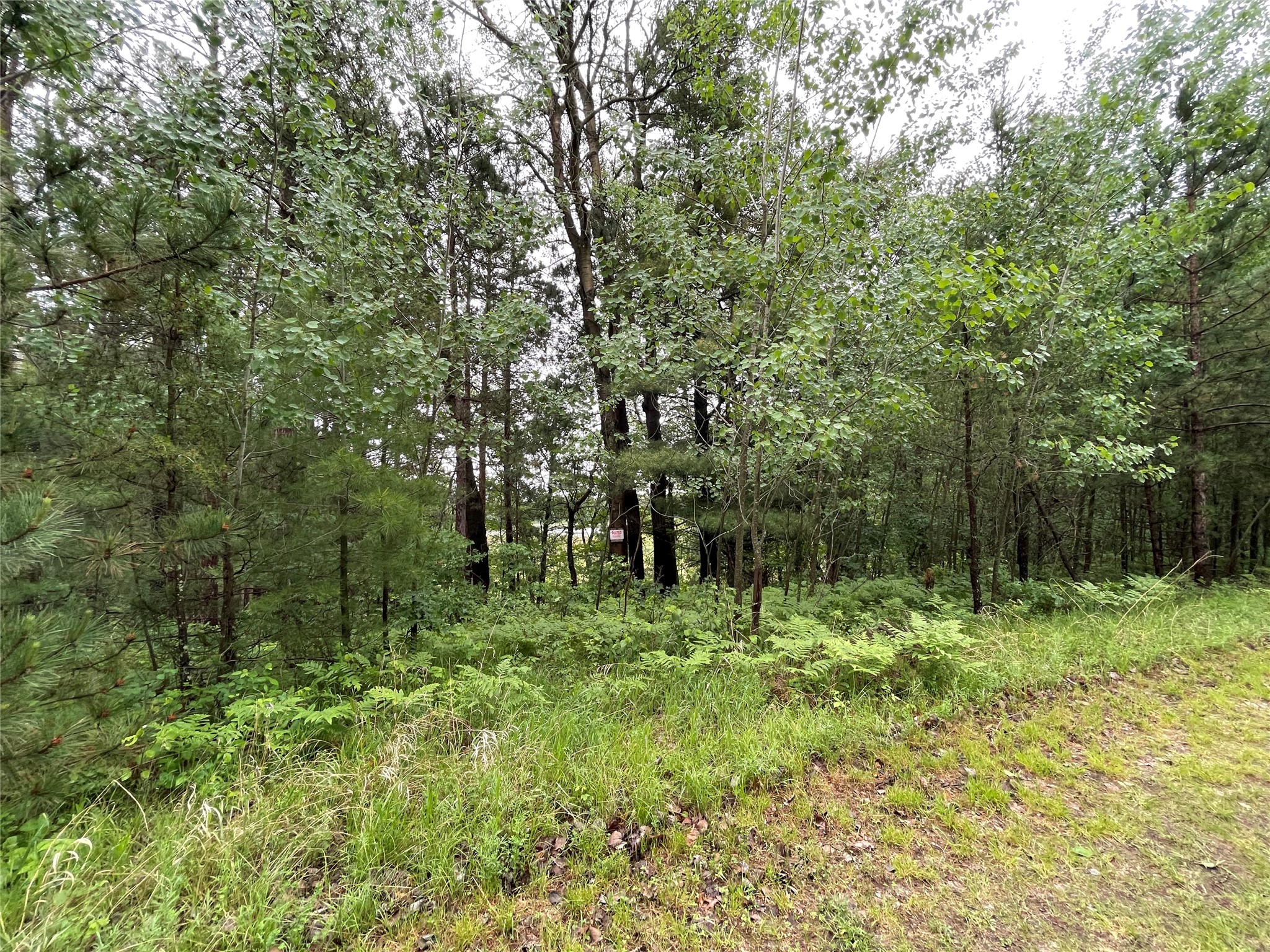 0 Loon Lake Road Spooner, WI 54801 - Photo 13 of 18