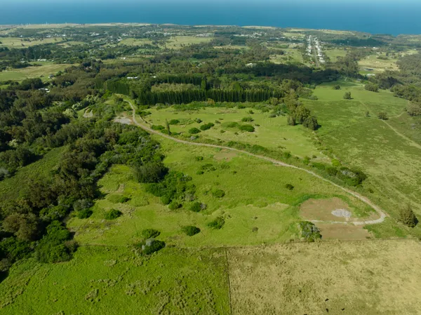 a view of a lush green space with sea
