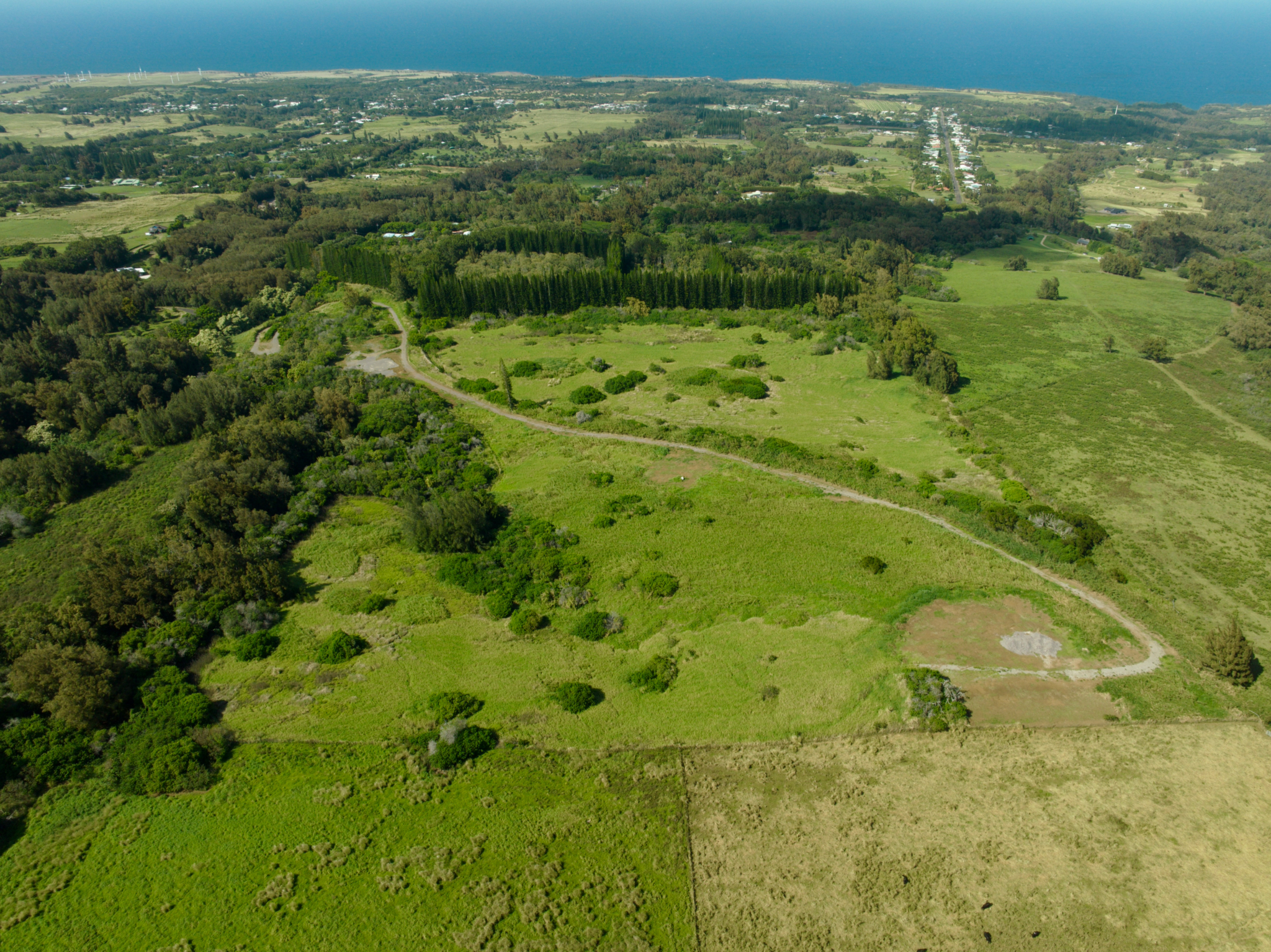 a view of a lush green space with sea