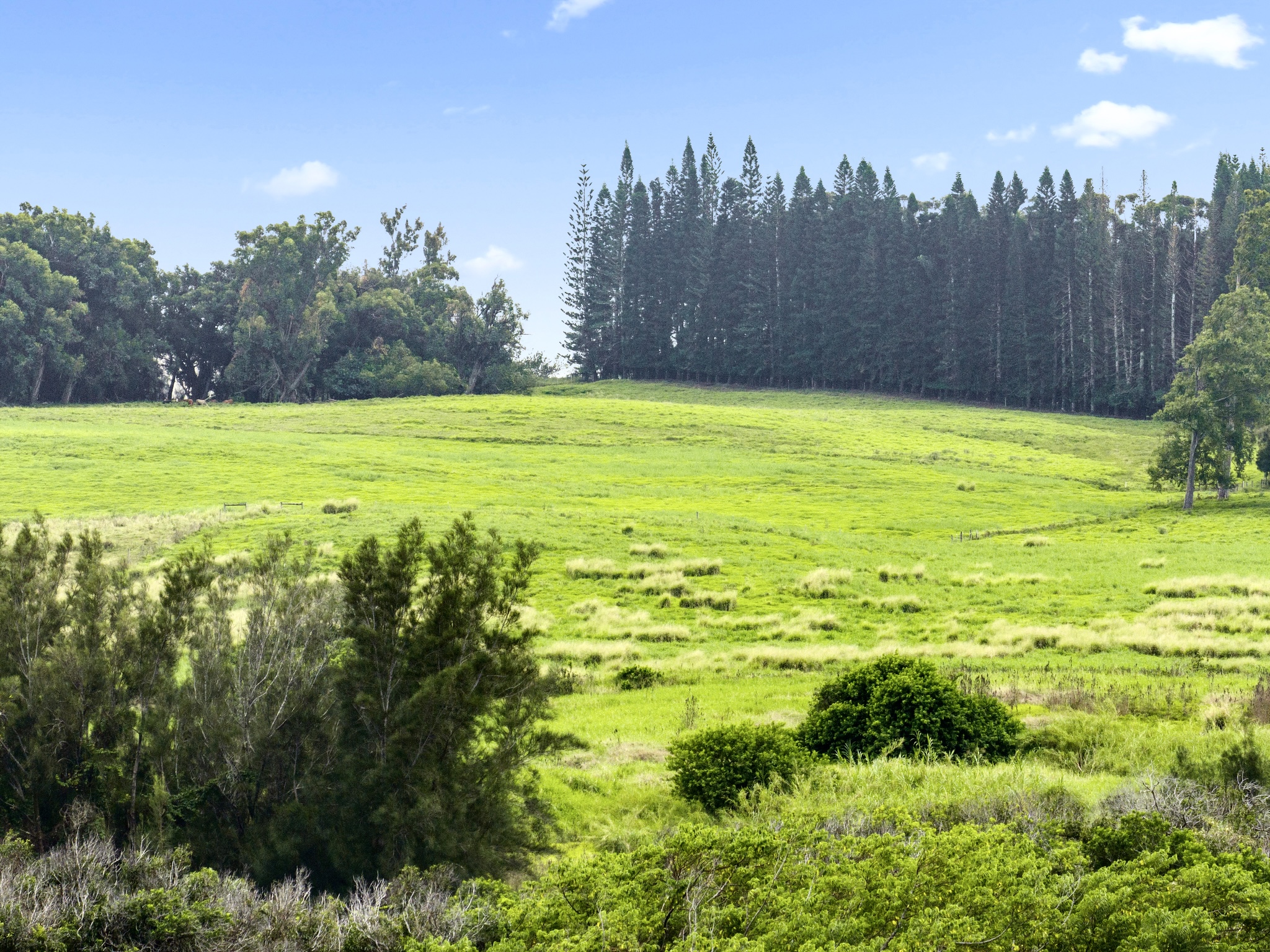 54-2198 Lot B-2 Kynnersley Road Hawi, HI 96719 - Photo 5 of 13 a view of an outdoor space and a yard
