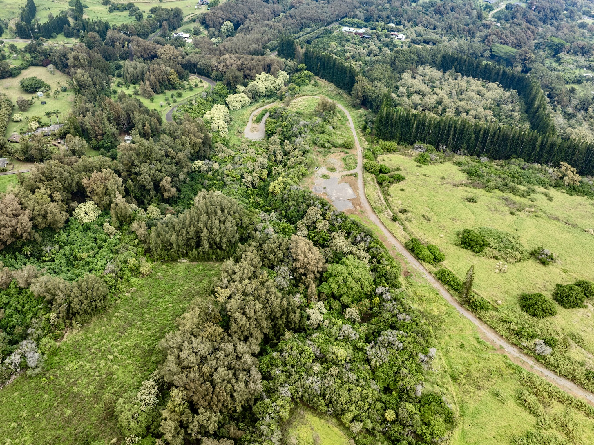 54-2198 Lot B-2 Kynnersley Road Hawi, HI 96719 - Photo 6 of 13 a view of a yard with plants