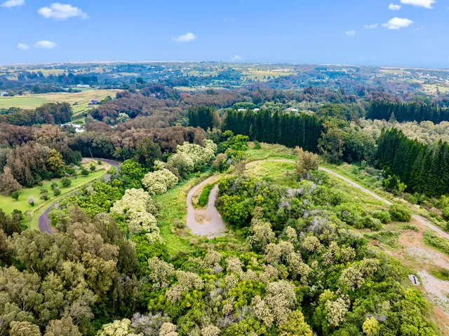 a view of a yard with potted plants