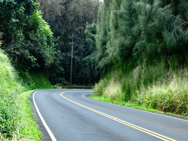 a view of a yard and basketball court