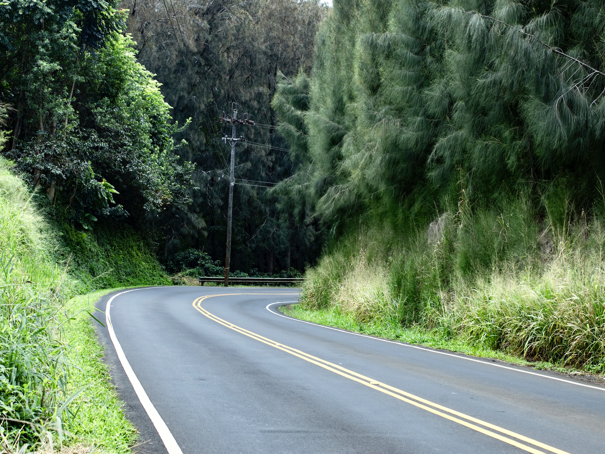 54-2198 Lot B-2 Kynnersley Road Hawi, HI 96719 - Photo 9 of 13 a view of a yard with potted plants