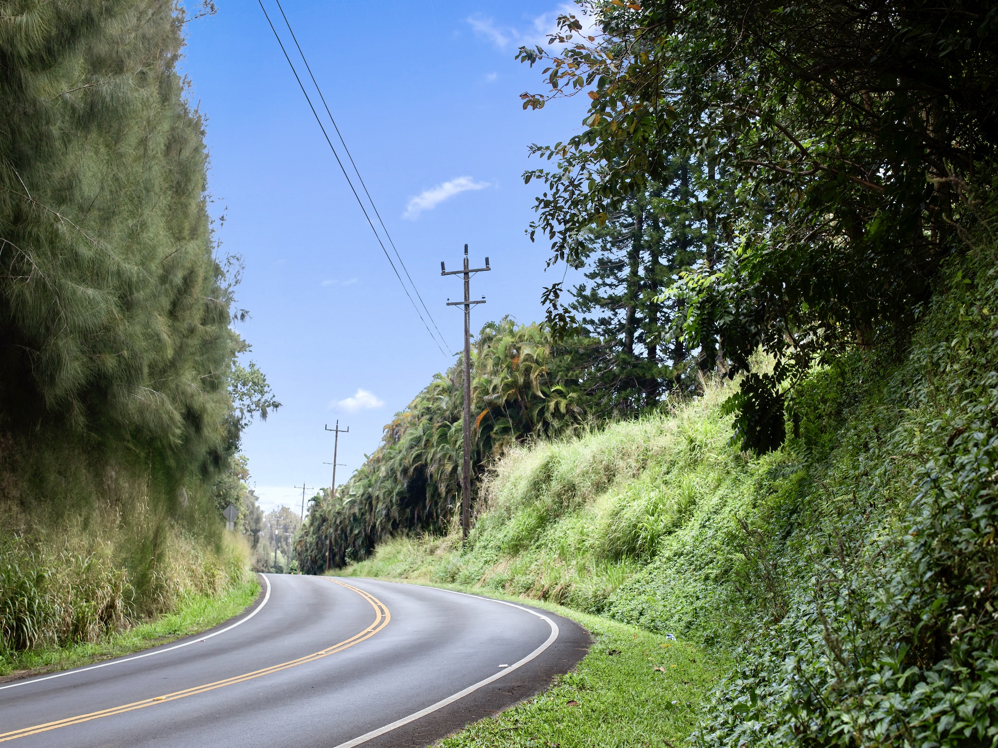 54-2198 Lot B-2 Kynnersley Road Hawi, HI 96719 - Photo 10 of 13 a view of a yard and basketball court