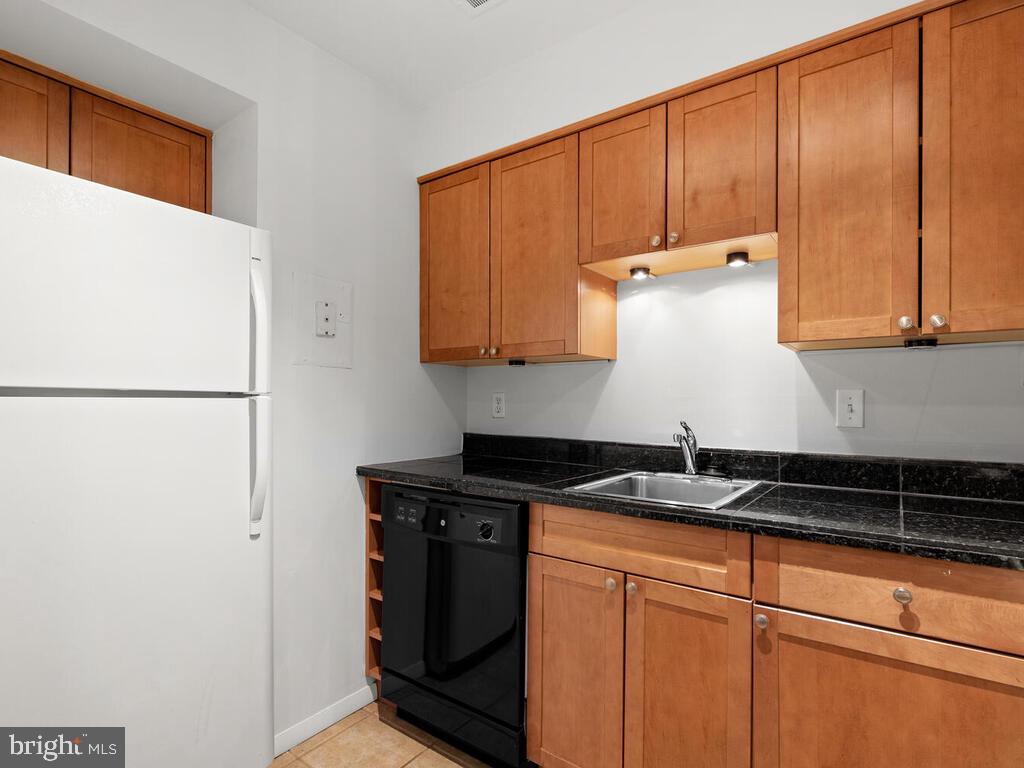 2109 Walsh View Terrace, Unit 12203 Silver Spring, MD 20902 - Photo 12 of 23 Kitchen