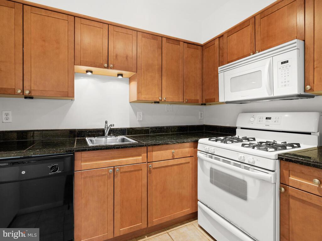 2109 Walsh View Terrace, Unit 12203 Silver Spring, MD 20902 - Photo 13 of 23 Kitchen