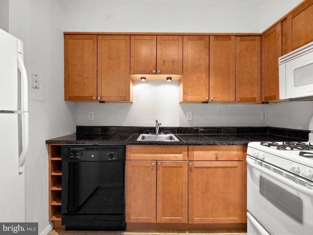 2109 Walsh View Terrace, Unit 12203 Silver Spring, MD 20902 - Photo 15 of 23 Kithcen