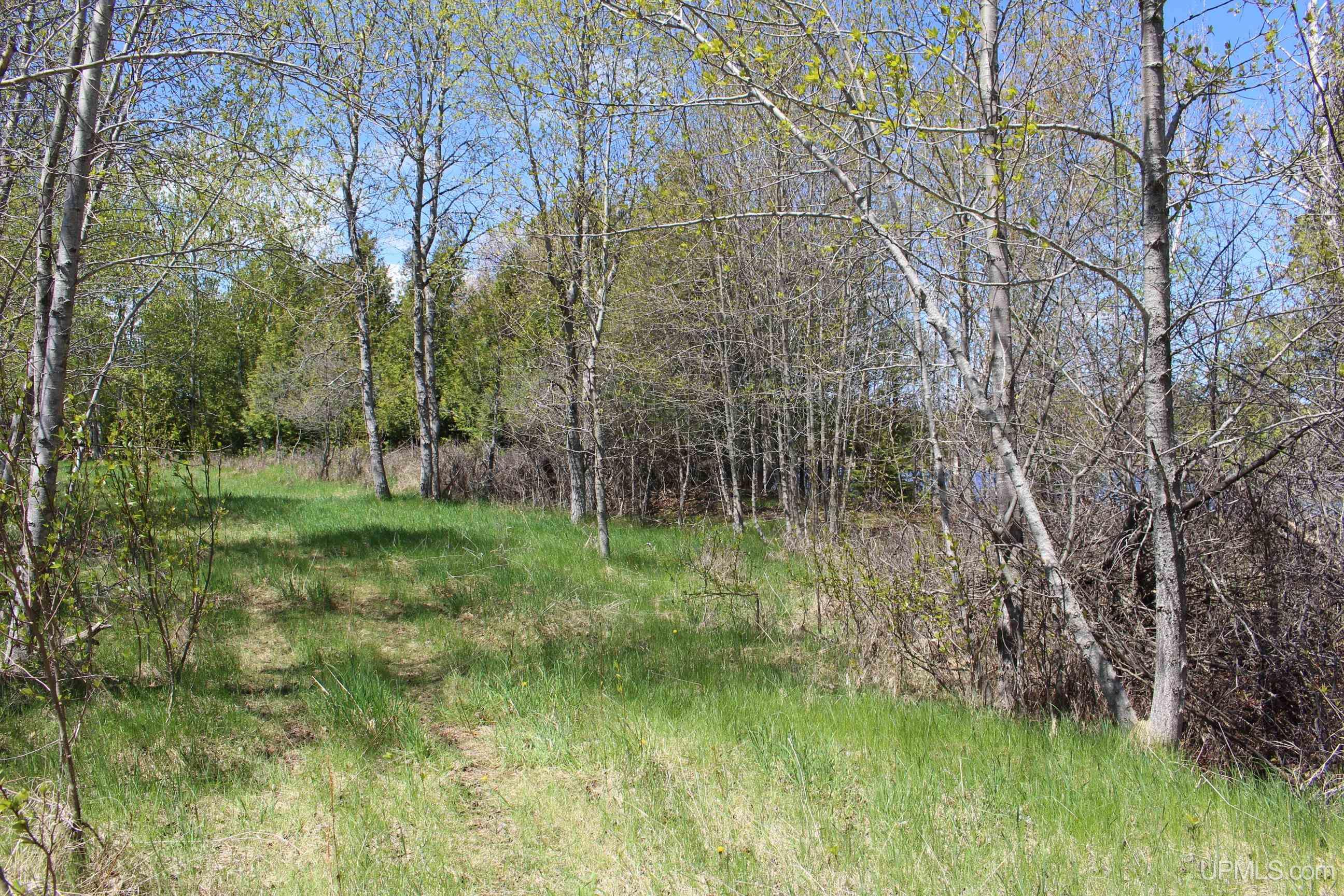 23.5 Rd Gladstone Mi 49837 Road Gladstone, MI 49837 - Photo 33 of 50