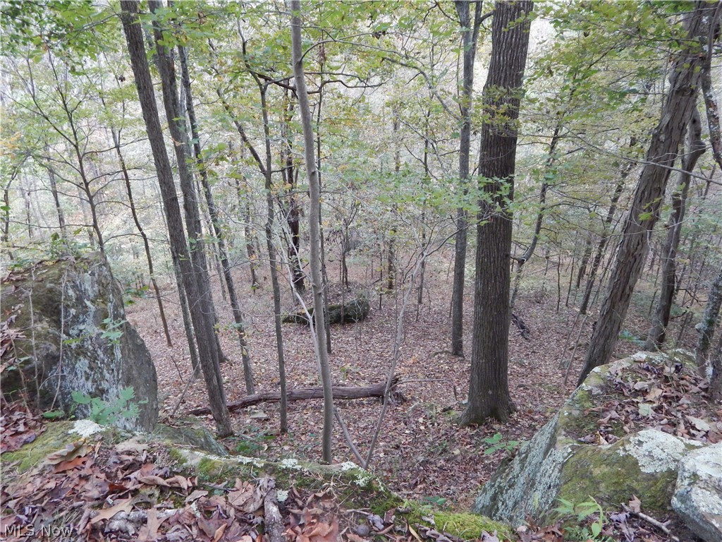 47 Rt Smithville, WV 26178 - Photo 14 of 18