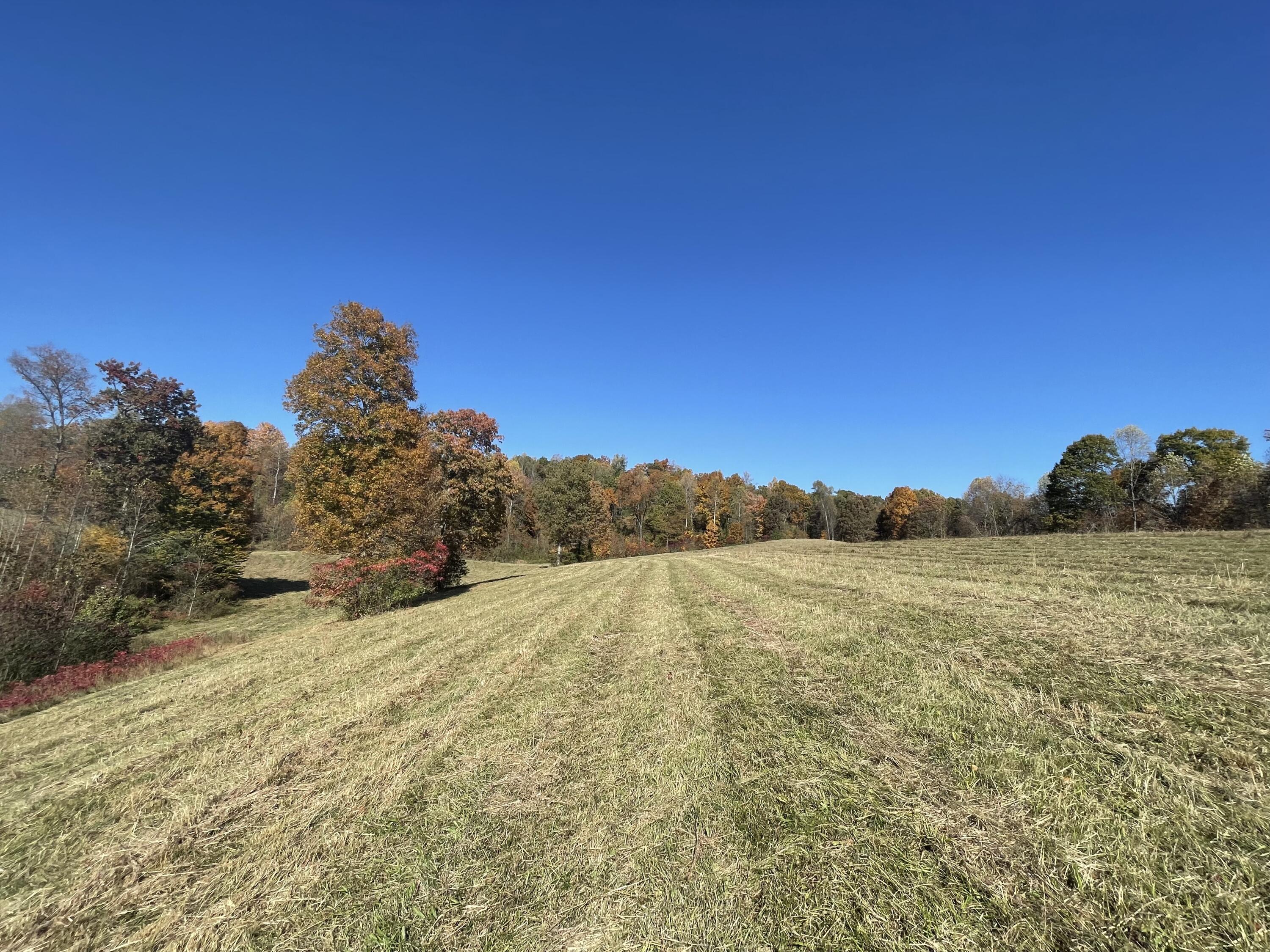 9999 Burnett Road London, KY 40744 - Photo 12 of 44 IMG_4205