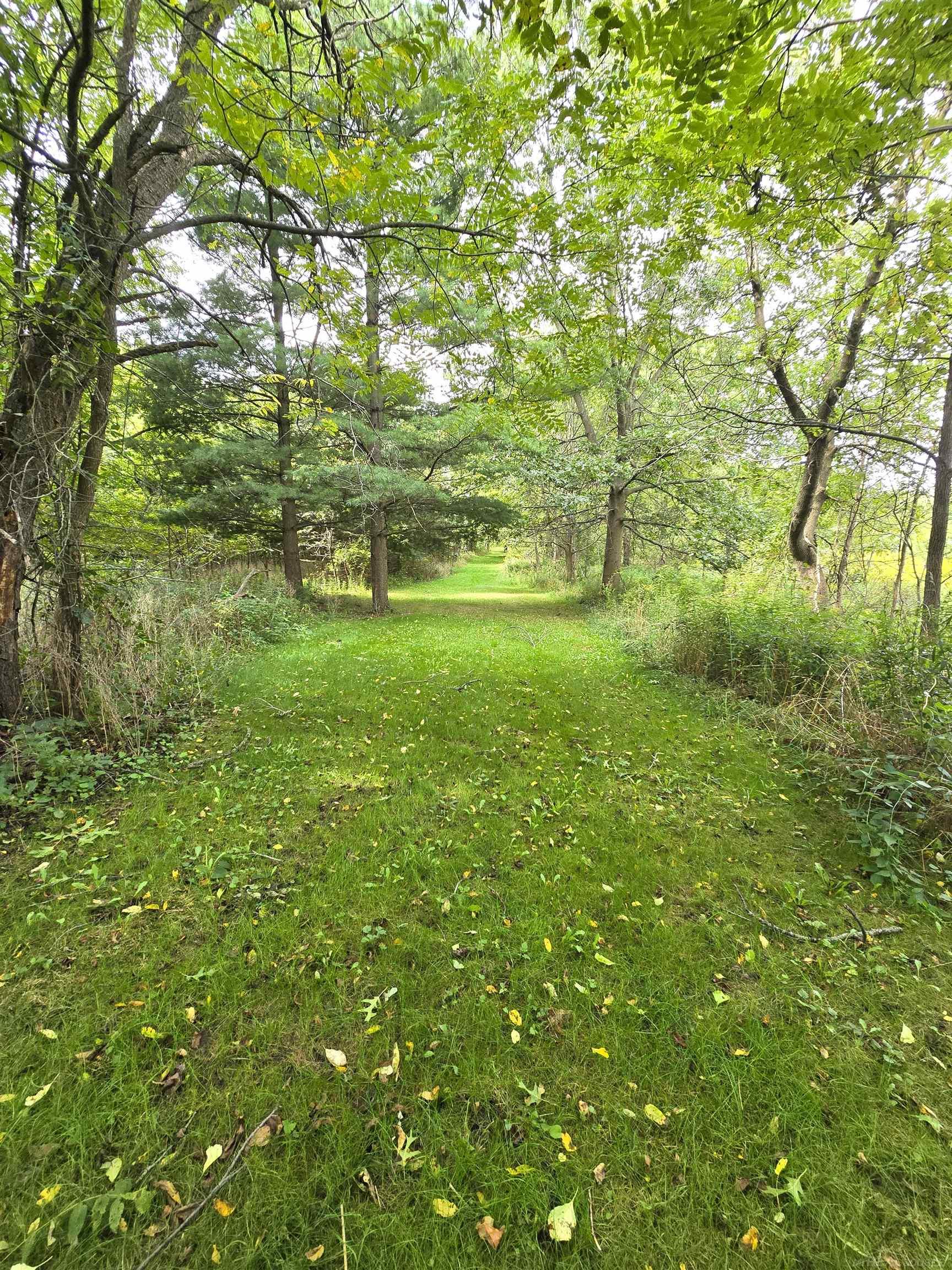 4883 Rochester Road Dryden, MI 48428 - Photo 15 of 87 50154079-4924ebf5-c28a-4fd2-88fe-8d48441397ed.JPG
