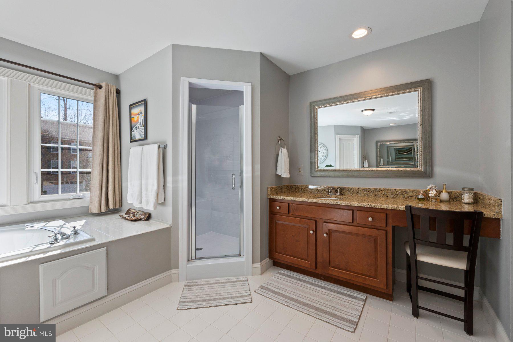 20623 Cutwater Place Sterling, VA 20165 - Photo 29 of 59 a bathroom with a sink and a large mirror