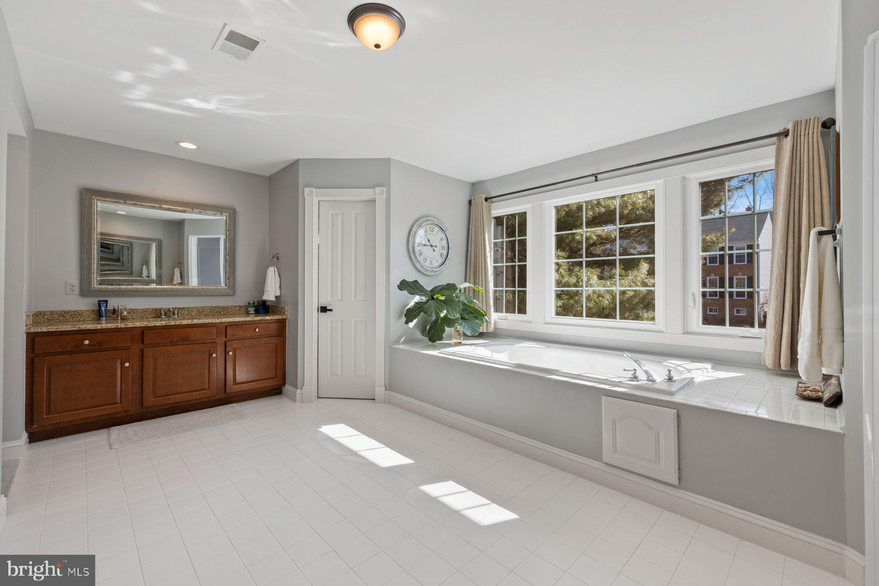 20623 Cutwater Place Sterling, VA 20165 - Photo 31 of 59 a spacious bathroom with a granite countertop tub sink and mirror