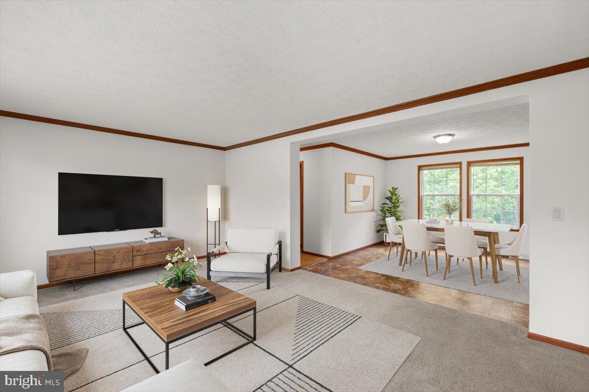 4767 South Ox Road Woodstock, VA 22664 - Photo 2 of 32