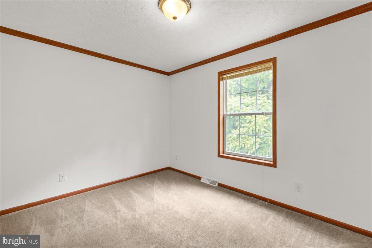 4767 South Ox Road Woodstock, VA 22664 - Photo 21 of 32