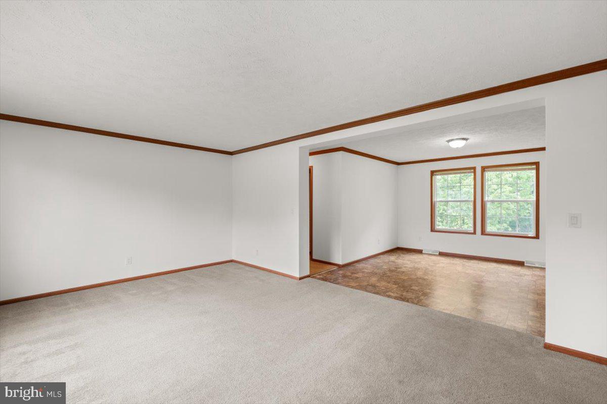 4767 South Ox Road Woodstock, VA 22664 - Photo 3 of 32